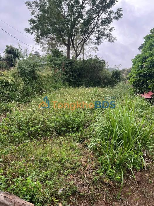 Đất Nền Hợp Thành Cao Lộc - Mặt Tiền Rộng 17m, Chia Lô Thoải Mái - 1.x Tỷ