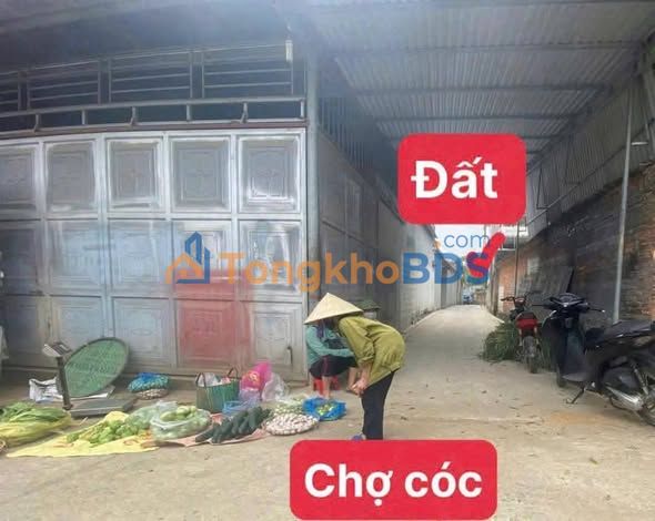 Đất thổ cư 116m² Quốc Oai, Hà Nội - Hơn 2 tỷ, gần chợ trường học