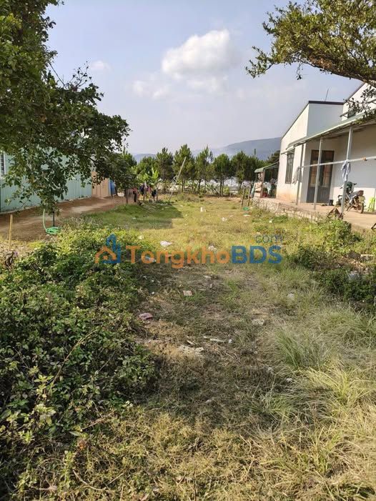 Đất Nền Thổ Cư 400m² Thôn Ka Đô, Đơn Dương - Sổ Hồng Riêng, Giá 640 Triệu