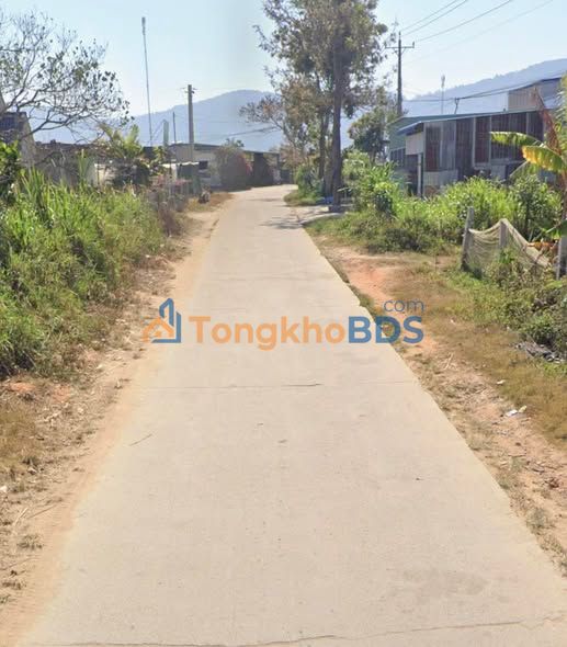 Đất Sào 955m² Sổ Hồng Thổ Cư - View Đồi Thông Dran, Lâm Đồng