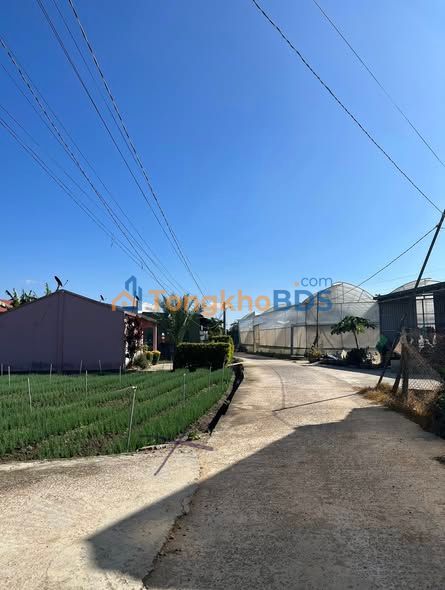 Bán Đất Lạc Lâm 200m² - Sổ Hồng Sẵn Sàng, Giá Tốt Chỉ 1 Tỷ