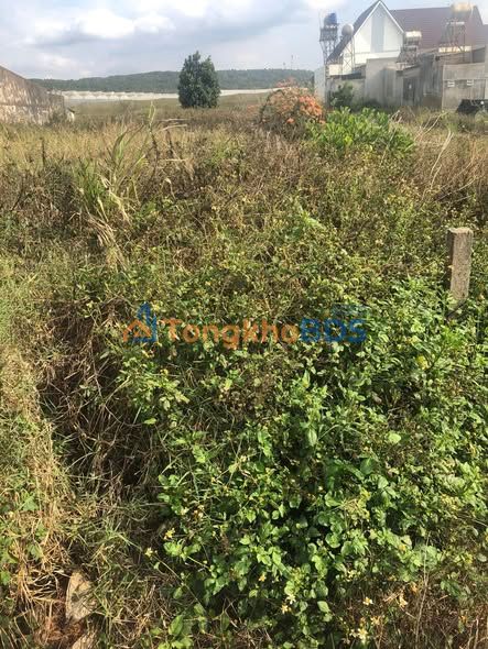 Bán Đất VIP Mặt Tiền Phạm Ngọc Thạch, Đơn Dương - 250m², Sổ Riêng 1.6 Tỷ