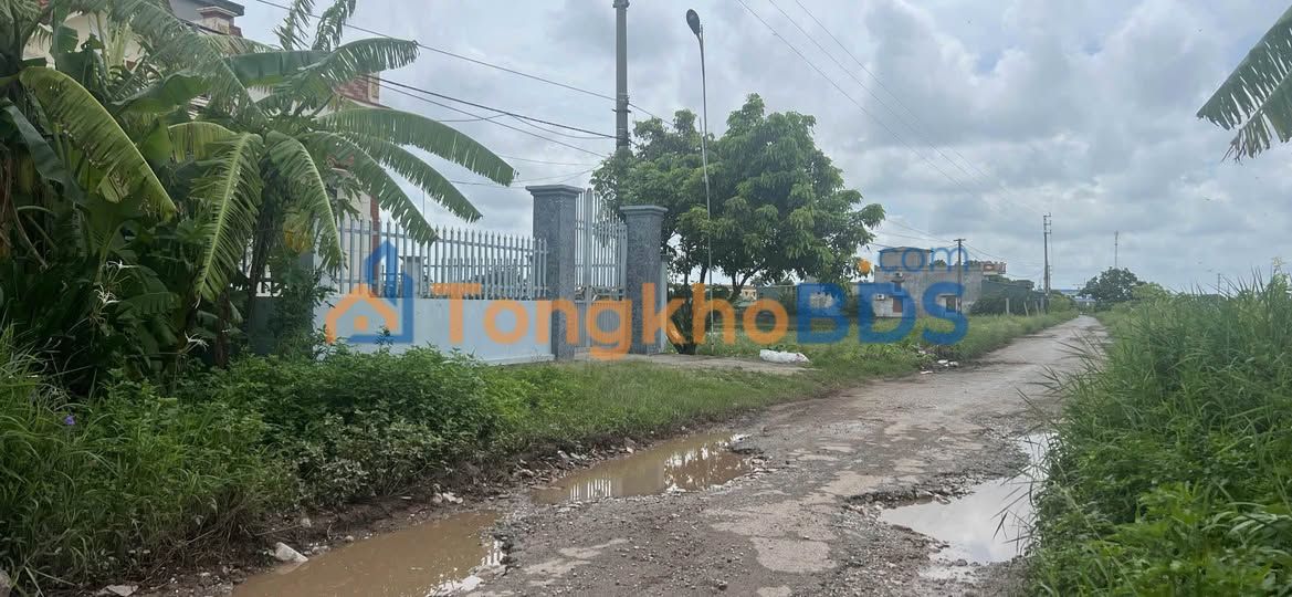 Đất nền Tiền Hải 144m² - Đối diện KCN Hải Long - Giá chỉ 9xx triệu