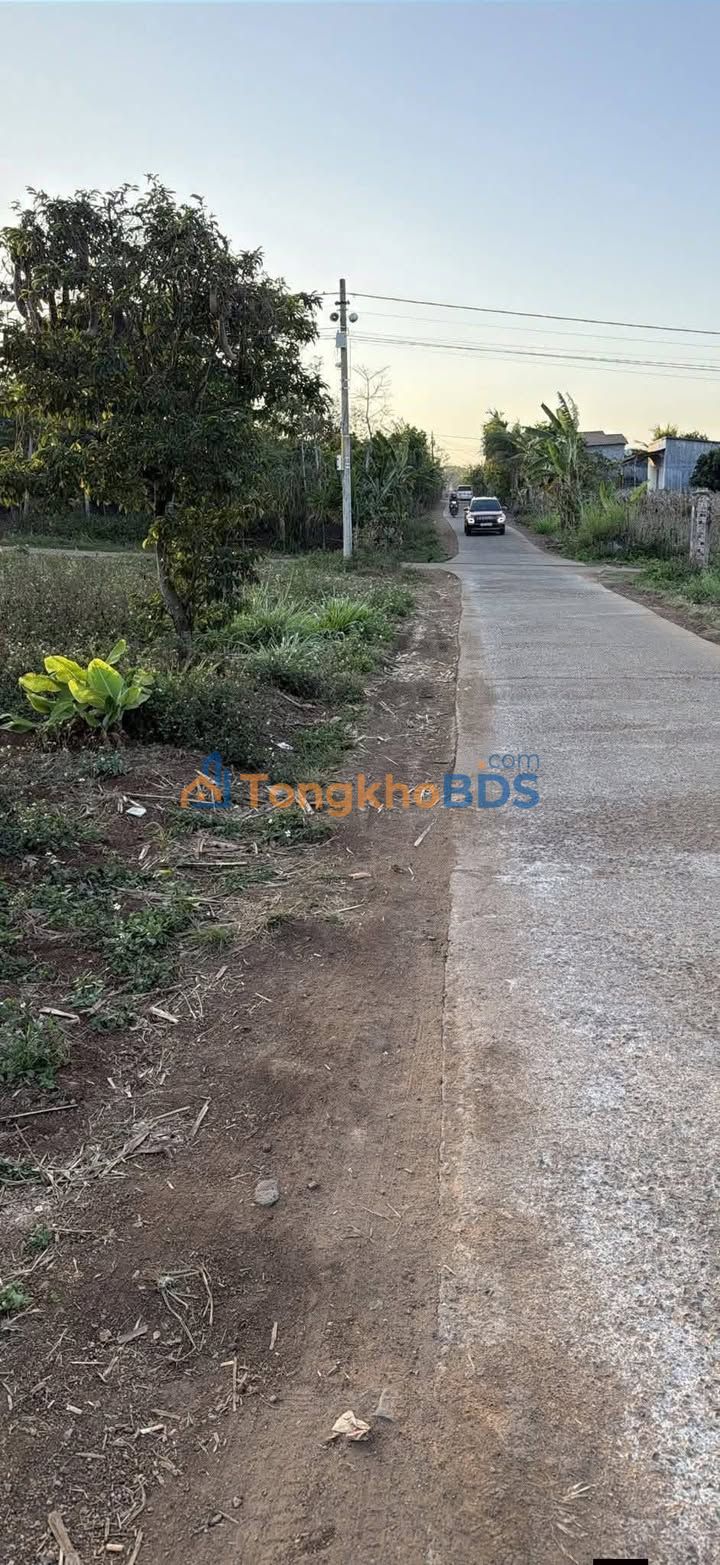 Đất Nền Ea Lê, Đắk Lắk 300m² - Sổ Đỏ Sẵn Sàng, Giá 629 Triệu