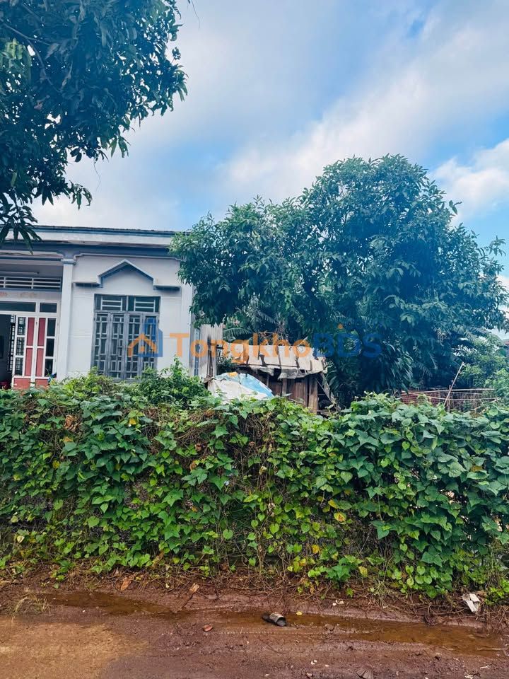 Đất Cư M'gar 130m² Hướng Đông - Sổ Đỏ TC, Giá 1.05 Tỷ