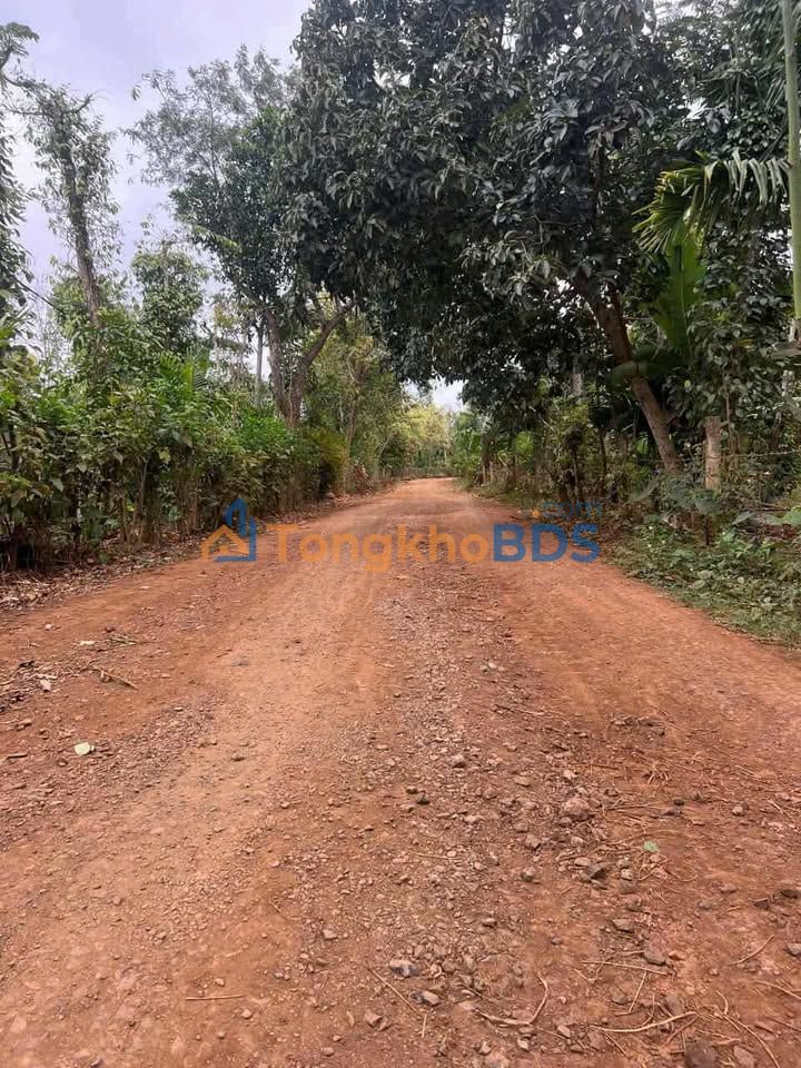 Đất Nền Ea Bhôk Cư Kuin 300m² - Sổ Thổ Cư, Giá Đầu Tư 4xx Triệu