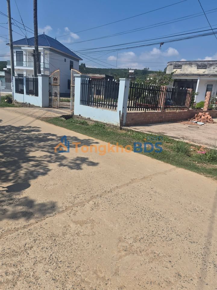 Bán Gấp Đất Vườn Lâm Hà 6840m² Tặng Vườn Dừa Trĩu Quả - 890 Triệu