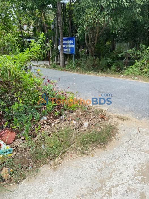 Bán Gấp Đất Tặng Nhà Cấp 4 Xã Sơn Phú, Giồng Trôm - 227m² Sổ Hồng Sẵn