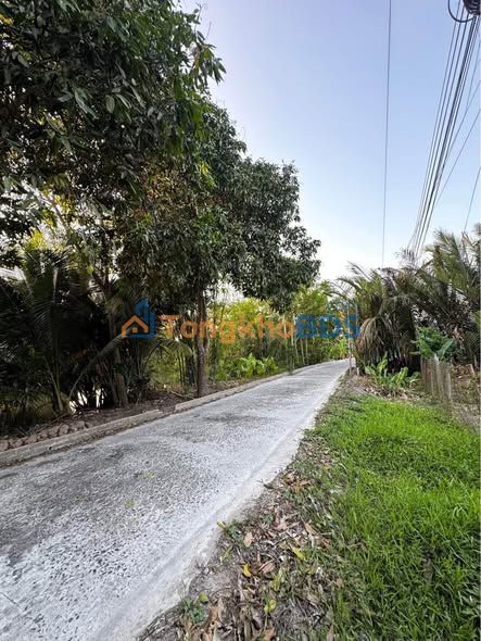 Bán Nền View Sông Nhơn Ái, Cần Thơ - 138-150m² - Lộ ÔTô Giá 8xx Triệu