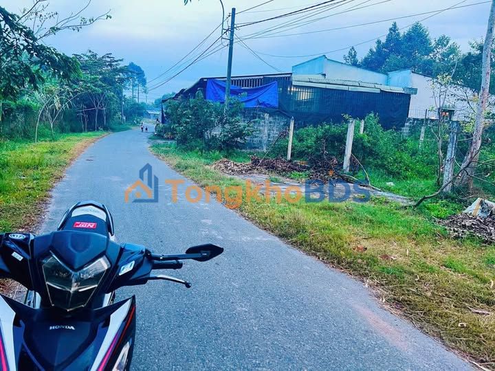 Đất Nhuận Đức Củ Chi 284m² Full Thổ Cư - Giá Tốt Đầu Tư