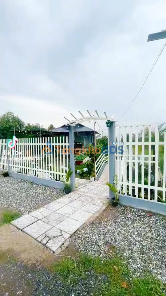 Farm Nghỉ Dưỡng 3667m² Cần Thơ - Sầu Riêng 3 Năm Tuổi, Ao Cá, Nhà Thủy Tạ