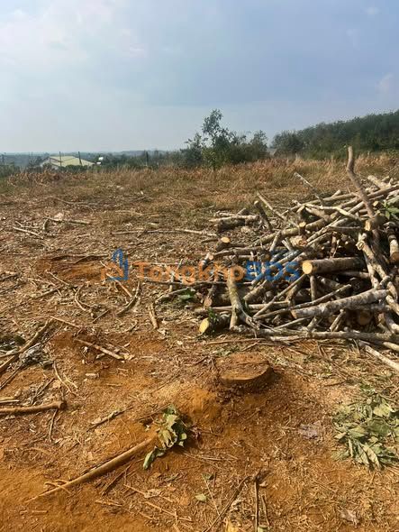 Đất nền 40.000m² Đắk Sin, Bình Dương - Giá 6.7 Tỷ, Sổ Đỏ Rõ Ràng