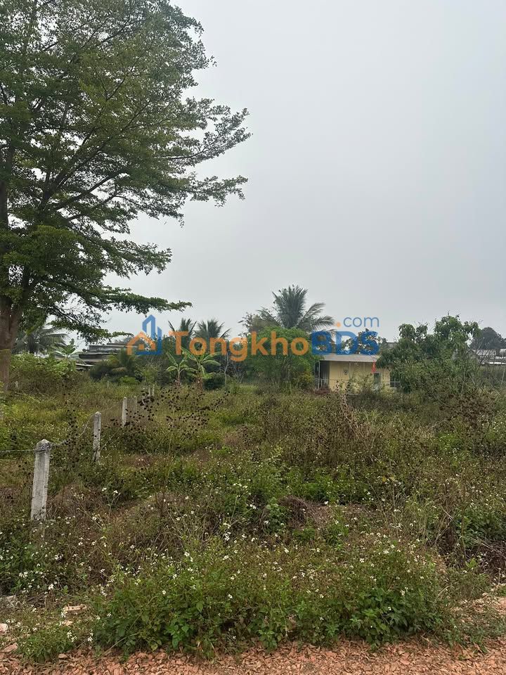 Đất thổ cư 240m² Trục 10 Nam Đà, Tuy Đức - Sổ đỏ sẵn, giá 710 triệu