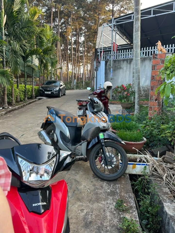 Đất Nền Đắk Nông 640m² - Giá Tốt 1.6 Tỷ, Sổ Hồng Thổ Cư