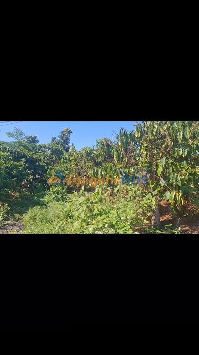 Bán Gấp 1.2ha Rẫy Cafe, Tiêu Đắk Nông - Sổ Hồng 3.45 Tỷ