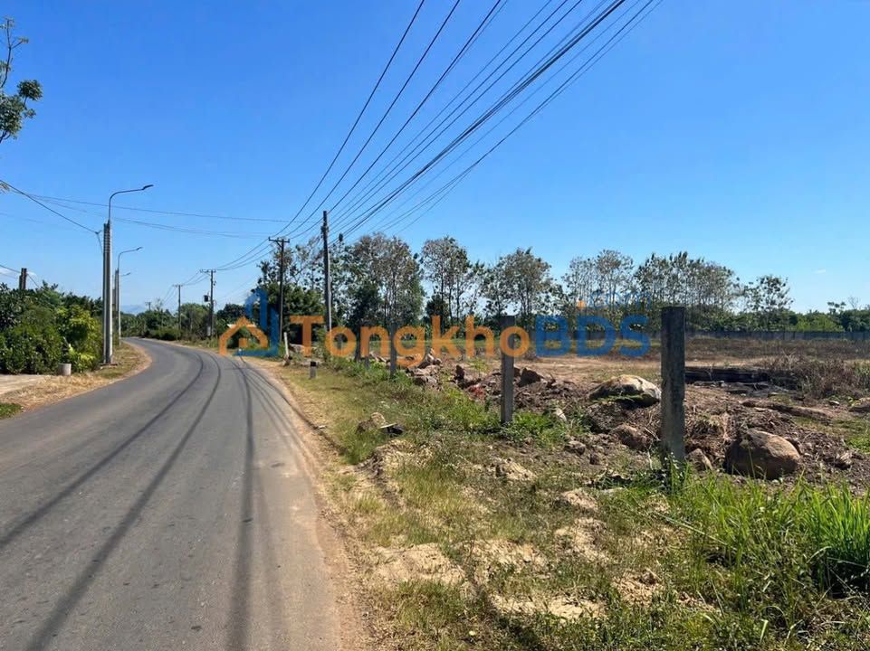 Bán Gấp Trang Trại 50ha Mặt Tiền QL 28 Đắk Nông - Giá 100 Tỷ