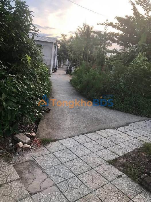 Đất Nền Giồng Trôm 123m² - Sổ Hồng Sẵn Sàng, Gần Chợ Bến Miễu