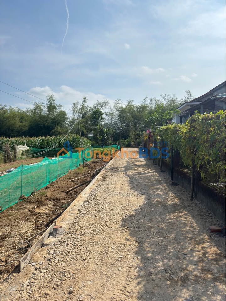 Đất Nền Lô Trung Đông, Duy Xuyên 125m² - Sổ Hồng Sẵn Sàng