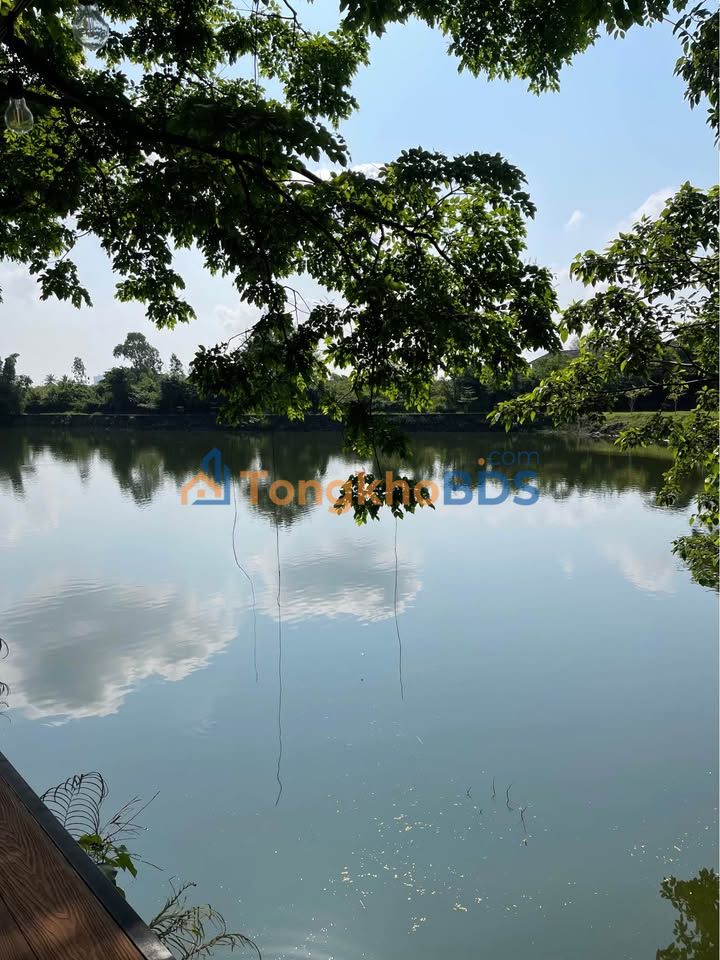 Đất Nền An Cư Hoàng Văn Thái – Tam Kỳ 127m² Giá Tốt