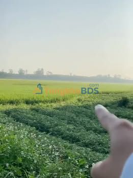 Đất Nền Núi Thành 530m² - Sổ Hồng Sẵn Sàng - Giá Chỉ 5xx Triệu