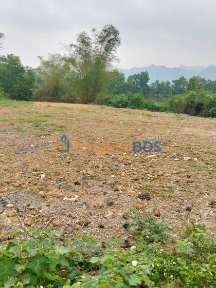 Đất Vàng Yên Trị, Phú Thọ 1799m² Sổ Đỏ - Giá Hơn 2 Tỷ