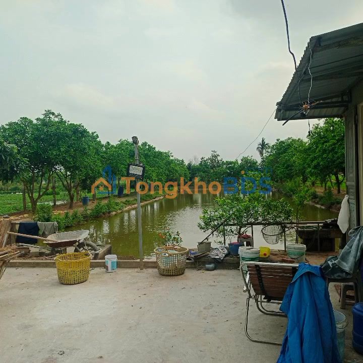 Đất Nền Cẩm Mỹ Đồng Nai 1423m² - Nghỉ Dưỡng Yên Bình, Giá Chỉ 2 Tỷ