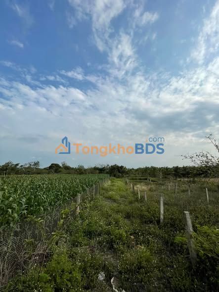 Đất nền Ea Phê 385m² 800 triệu - Sổ đỏ chính chủ