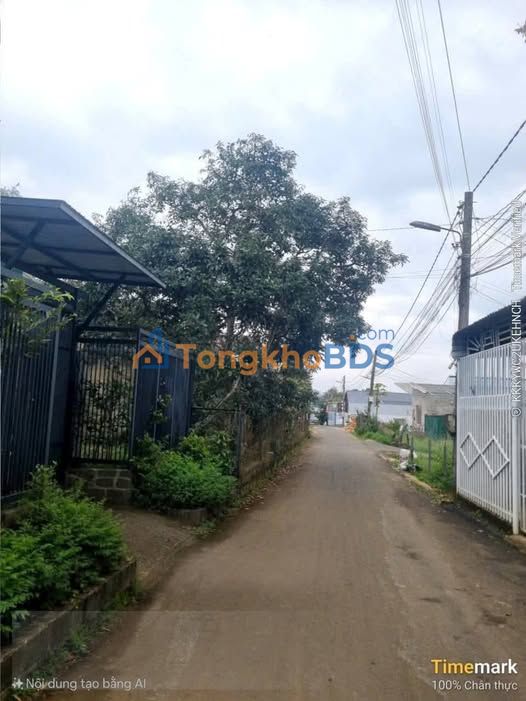 Đất nền Hẻm Tuệ Tĩnh P1 Bảo Lộc 85m² 1,95 tỷ - Đầu tư dài hạn