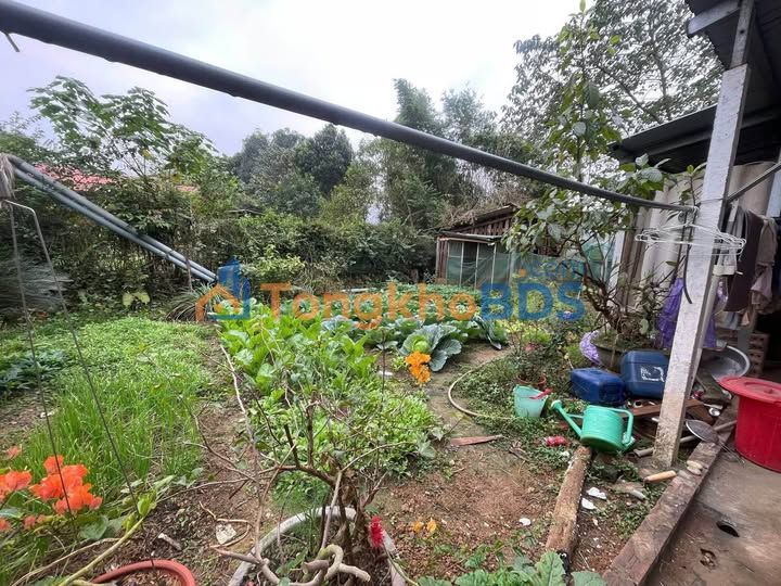 Bán Trang Trại Nhà Vườn 5000m² - Lục Yên, Yên Bái - Sẵn Sổ Đỏ