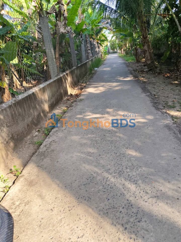 Bán đất Tân Thạch, Bến Tre 119m² - Sổ đỏ 50m² thổ cư, ô tô tới đất