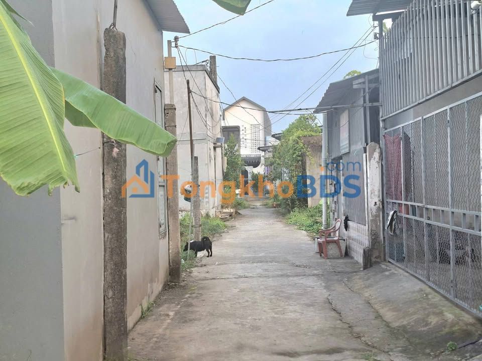 Đất nền Phú Khương Bến Tre 120m² 840 triệu - Sổ đỏ thổ cư