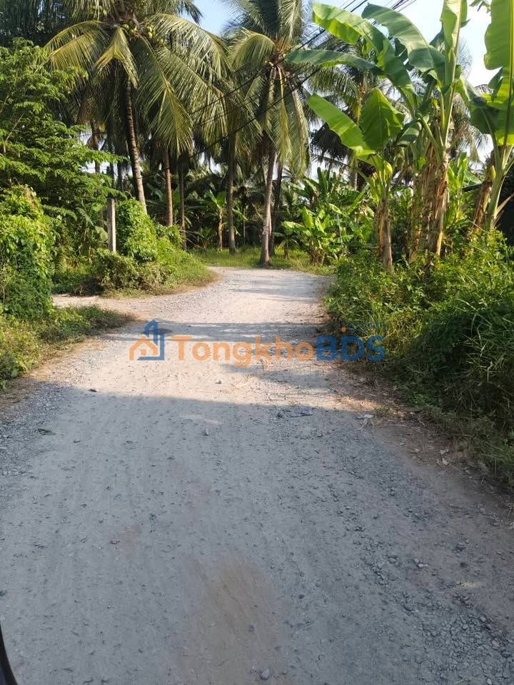 Đất Vàng Bến Tre 4200m² - 2 Mặt Tiền Đường, Sổ Hồng 600m² Thổ Cư