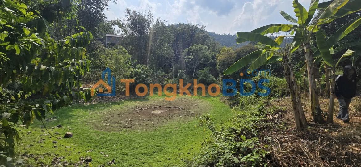 Đất nền Mộc Châu 3000m² 200-300tr - Sổ đỏ chính chủ