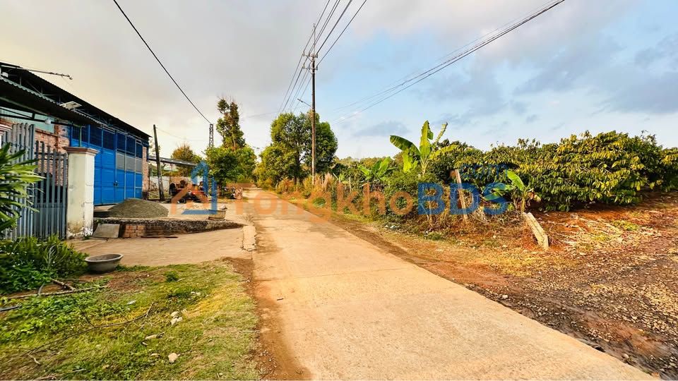 Đất Mặt Tiền Kí Con Nối Dài, Pleiku - 110m² Thổ Cư, Hướng Tây