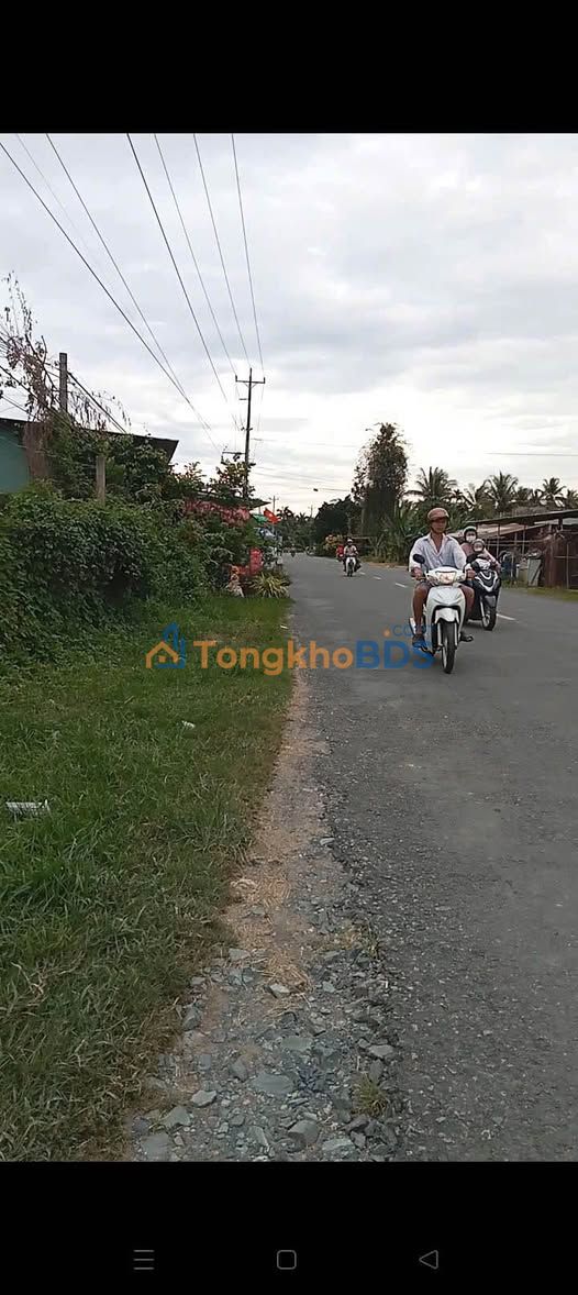 Đất Vườn Tiên Thủy 1950m² - Sổ Hồng 2 Mặt Tiền Đường Xe Hoa Lâm, Giồng Trôm