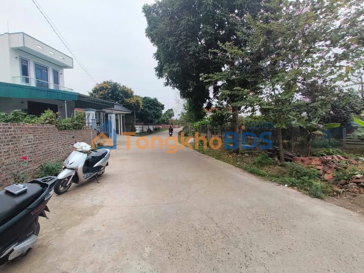 Đất nền Thanh Đình, Việt Trì 200m² - Sổ đỏ sẵn sàng, xây nhà đón lộc!