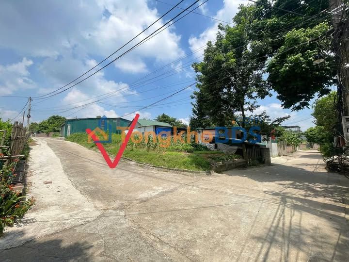 Đất nền Việt Trì - Sổ đỏ chính chủ, 2 ô liền kề 160m² tại Vân Phú