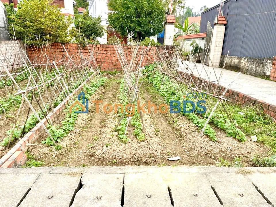 Đất nền Thủy Nguyên 45m² hơn 1 tỷ - Sổ đỏ chính chủ