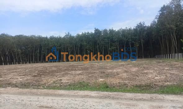 Đất nền Vĩnh Tân 340m² 300-400 triệu - Hạ tầng hoàn thiện