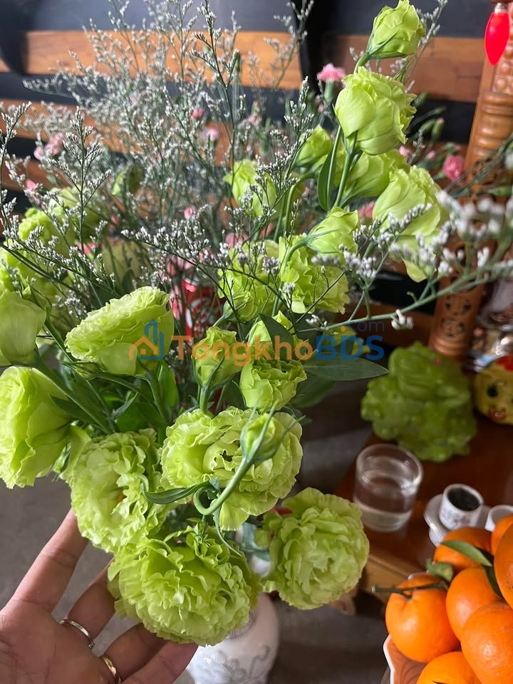 Đất Tịnh Hà, Sơn Tịnh 115m² - Sổ Vườn, Giá Đầu Tư 190 Triệu