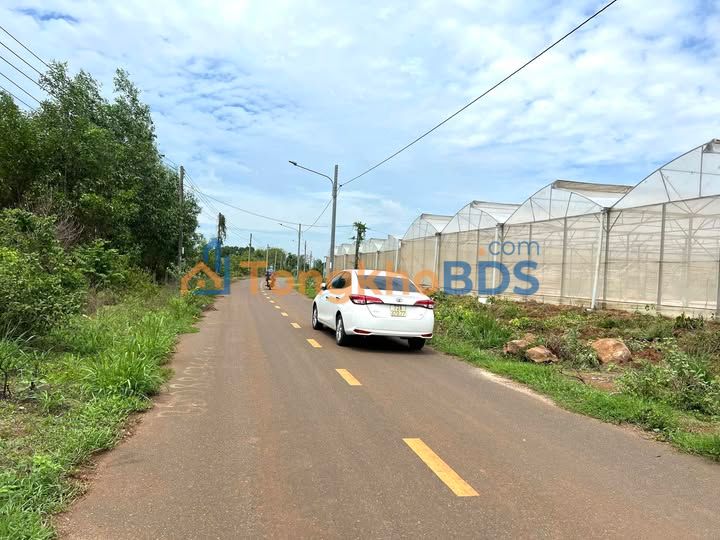 Bán Đất 610m² Long Tân, Bà Rịa - Đường Nhựa, Sổ Thổ Cư