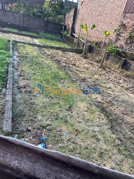 Đất nền Yên Tàng Sóc Sơn 50m² 1 tỷ - Sổ đỏ chính chủ