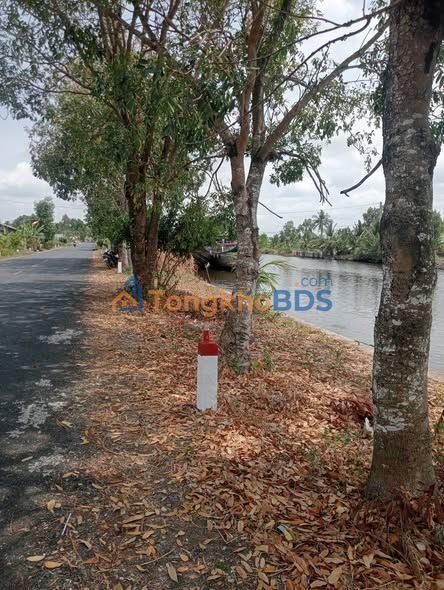 Bán Gấp Đất Vàng 1300m² Mặt Tiền 20m Đường Nhựa, TP Bạc Liêu - 1.3 Tỷ