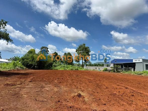 Đất Đỏ BRVT: 153m² Full Thổ Cư, Hẻm Xe Hơi Tận Nơi - Giá 920 Triệu