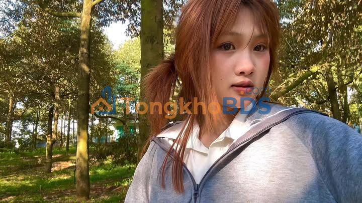 Trang trại Sầu Riêng 10.000m² Long Khánh - Thu nhập 3 tỷ/năm