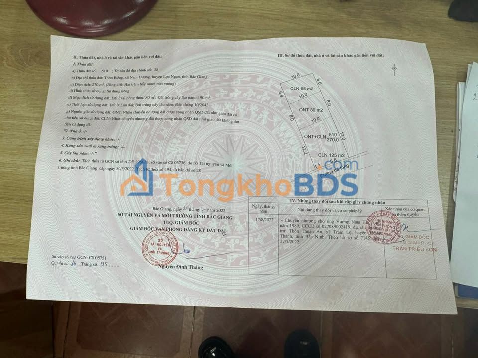 Đất Nền Nam Dương, Bắc Giang: 270m² Giá Tốt - Sẵn Sổ Đỏ, Phong Thủy Vượng