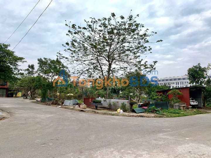 Bán Gấp Đất Kinh Doanh Mặt Tiền Nguyễn Văn Cừ, Từ Sơn 78m² - Sẵn Sổ Đỏ