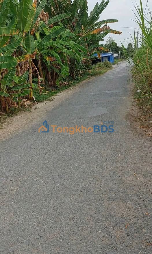 Đất nền KDC Chợ Thống Linh Sa Đéc 77m² 490tr - Sổ đỏ chính chủ