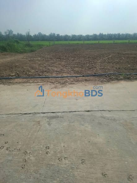 Đất nền Tân Trung Gò Công 205m² 360tr - Sổ đỏ chính chủ