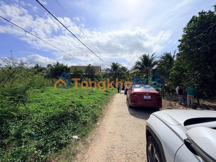 Đất nền Ninh Lộc, Ninh Hòa: 80m² Sổ hồng riêng, giá chỉ 4xx triệu - Đầu tư sinh lời!